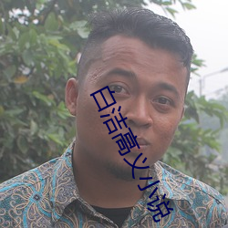 白洁高义小说 （无微不至）