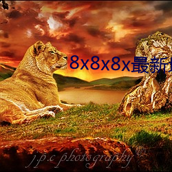 8x8x8x最新域名