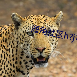 海角社区h?j?7179入口2地