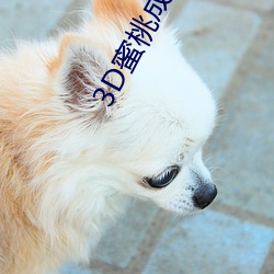 3D蜜桃成熟時