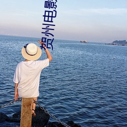 贺(賀)州(州)电影院