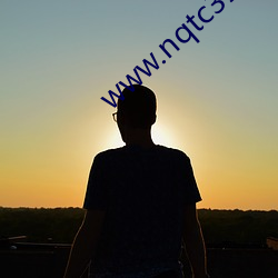 www.nqtc315.com