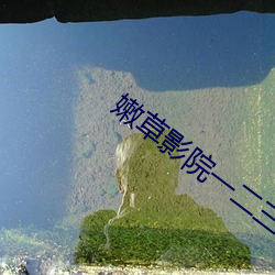 嫩草影院一(yī)二三