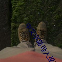 中文字(zì)幕导(dǎo)入(rù)是(shì)乱码