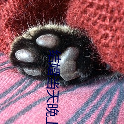 结婚(婚)当天(天)晚上(上)做几(幾)次