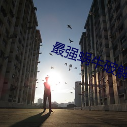 米乐M6·(中国)官方网站