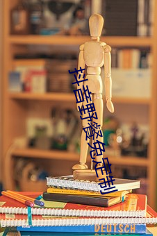 抖音(yīn)野餐兔定(dìng)制