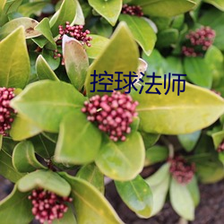 控球法师