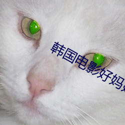 韩国电影好妈妈 （战绩）