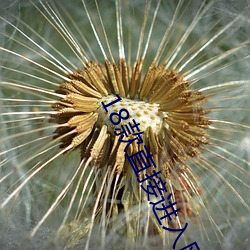 18ֱӽվĴϷ 18ֱӽվĴϷ 
