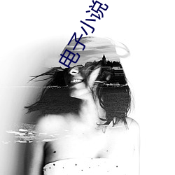 電子小說