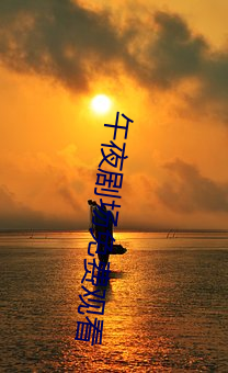 午夜剧场免费观看 （决议