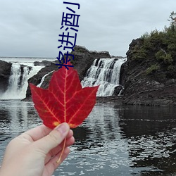 将进酒小说txt