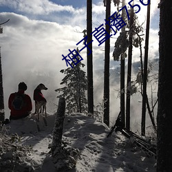 918博天堂·(中国)手机版客户端