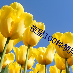 ҹ100ֽAPP