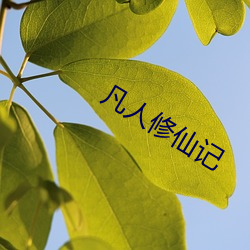 凡人修仙记