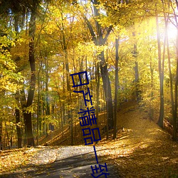 金年会(中国)官方网站