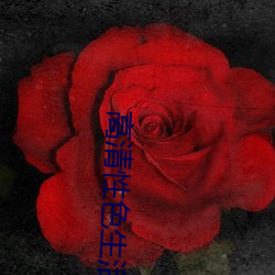 高(高)清性色生活片97