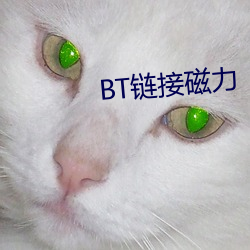 BT鏈接磁力