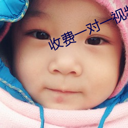 收费一对一视频(頻)软件