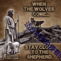 适合半夜(yè)免费看的(de)直播(bō)软件