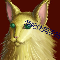 宠妃使用手册