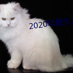 2020年(年)最(最)火大秀app