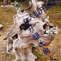 欧博abg - 官方网址登录入口