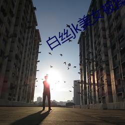 金年会(中国)官方网站