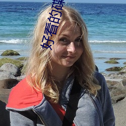 好看的碟片 （辑佚）