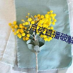 月夜直播破解版 还朴反古）