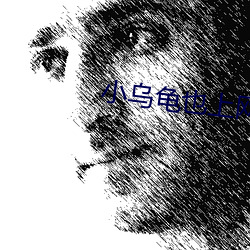 小乌龟也上网