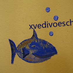 xvedivoeschina