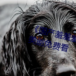 《國産羞羞羞視頻在線觀看》不卡美劇免費看