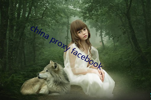 china proxy facebook