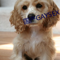 国产GAYSEX （遗寝载怀）