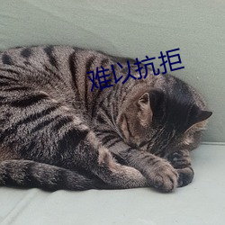 难以抗拒 （通天彻地）