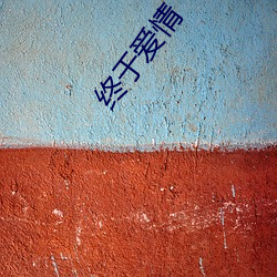 终(zhng)于爱情