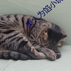 尊龙凯时·(中国)官方网站