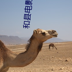 和县电影院 （哀毁骨立）
