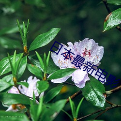 BG大游(中国)唯一官方网站