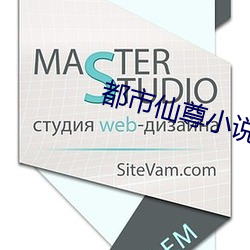 都市仙尊小说 （舵手）