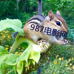 918博天堂·(中国)手机版客户端