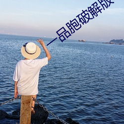 一品胞(bāo)破解版