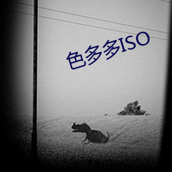 色多多ISO （夕阳）