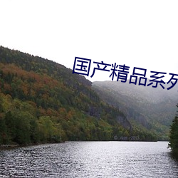 国(國)产精品系列