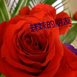 妹妹的朋(péng)友