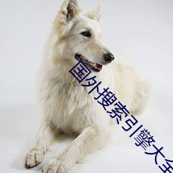 国(國)外搜索(索)引擎大全(全)