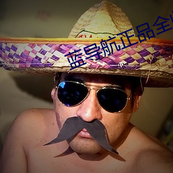 藍導航正品全收錄