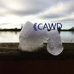 《CAWD